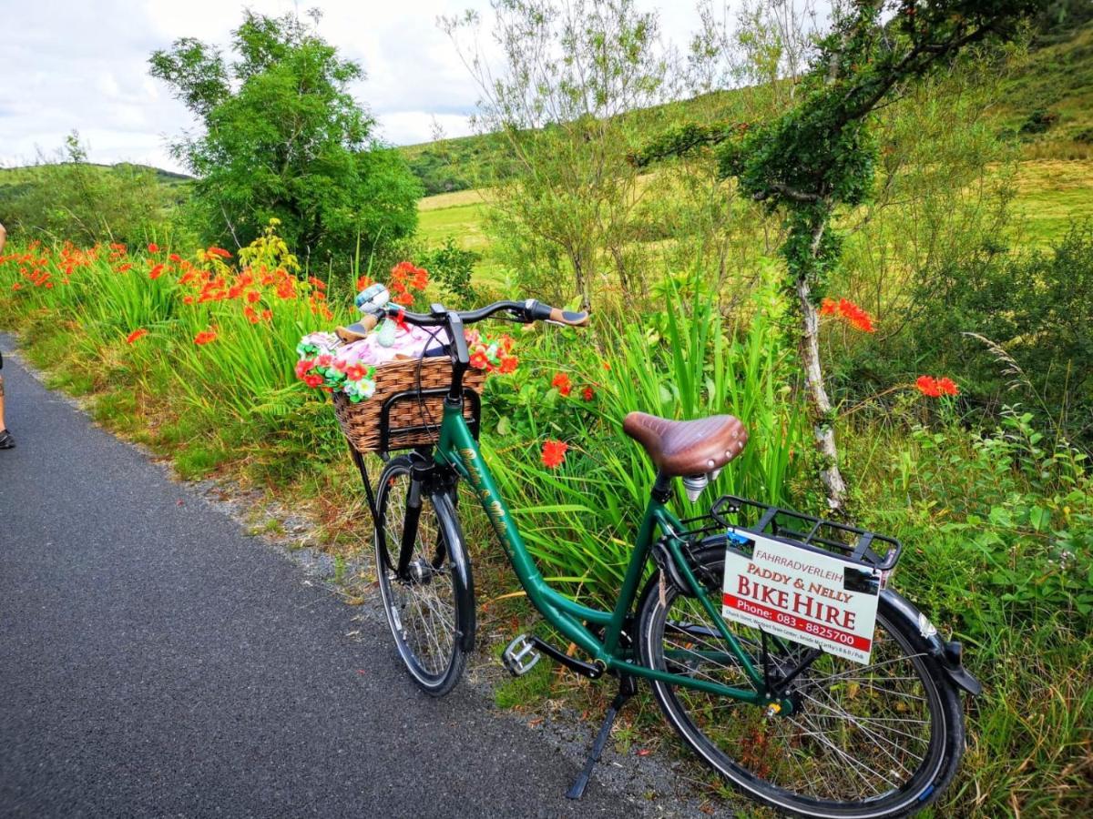 Nellys Bed And Bikes Hotell Westport Exteriör bild