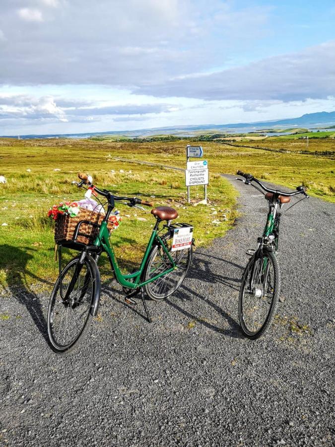 Nellys Bed And Bikes Hotell Westport Exteriör bild