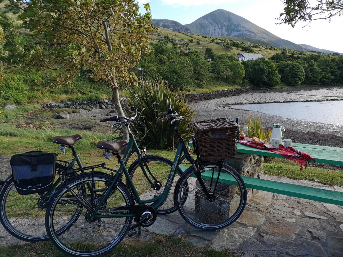 Nellys Bed And Bikes Hotell Westport Exteriör bild